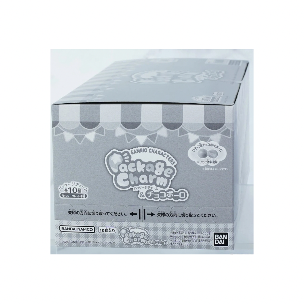 日本直送｜現貨 Sanrio x 盲盒吊飾系列