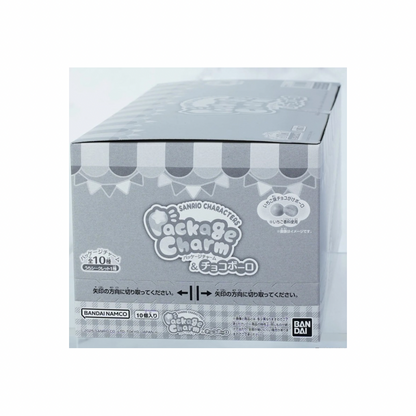 日本直送｜現貨 Sanrio x 盲盒吊飾系列