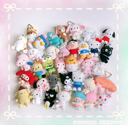 日本直送｜Sanrio x 角色大賞2025系列